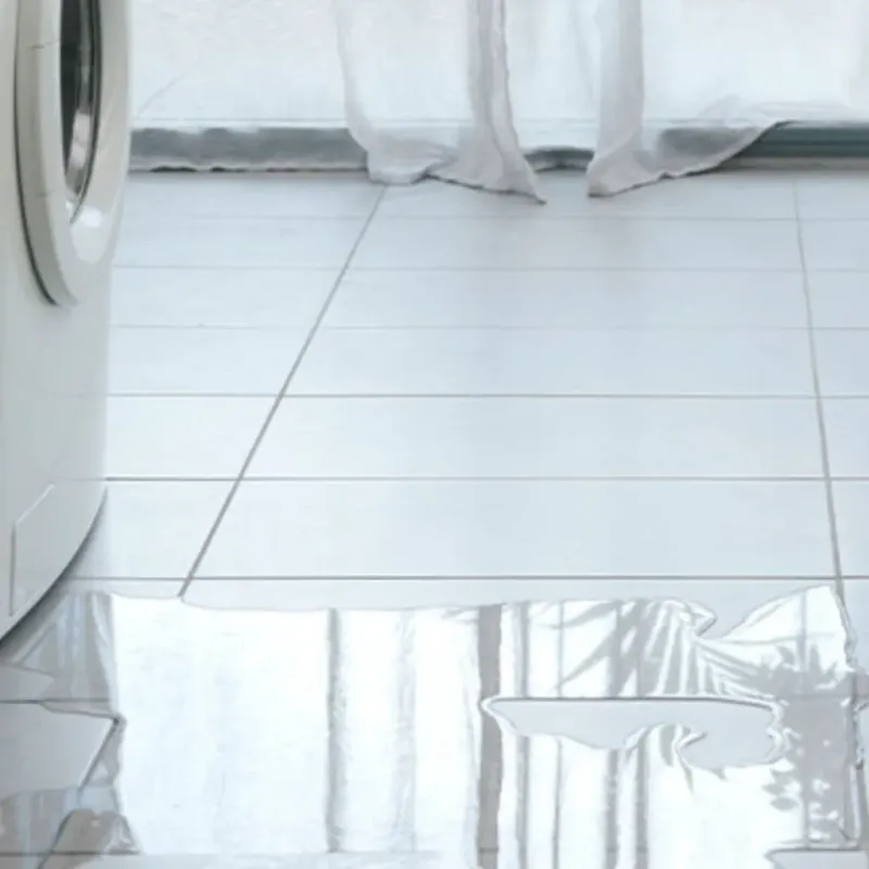 Appliance Leak Cleanup in Monongalia County, WV