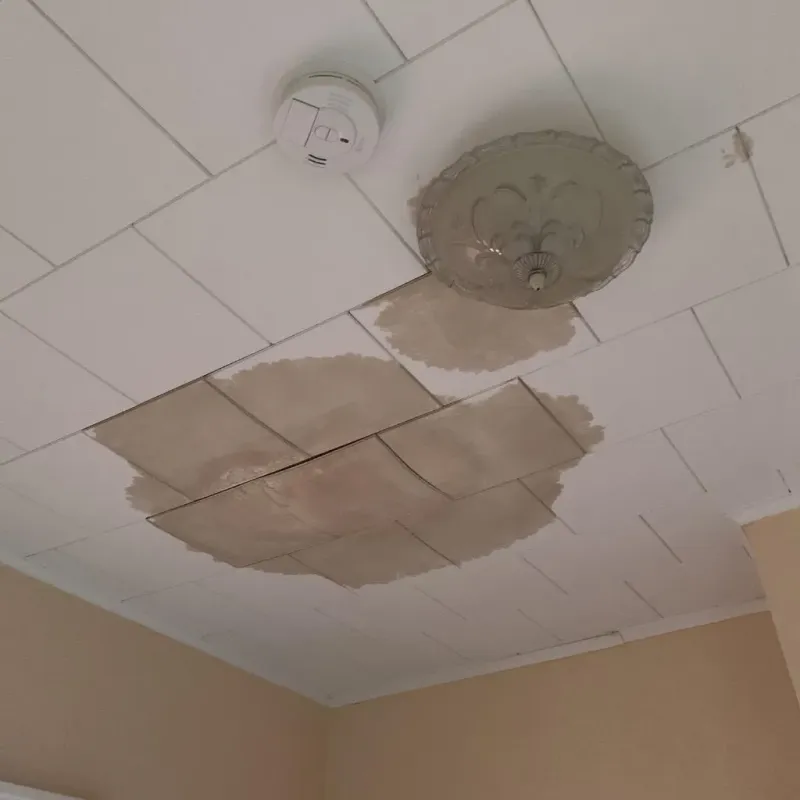 Ceiling Water Damage Repair in Monongalia County, WV