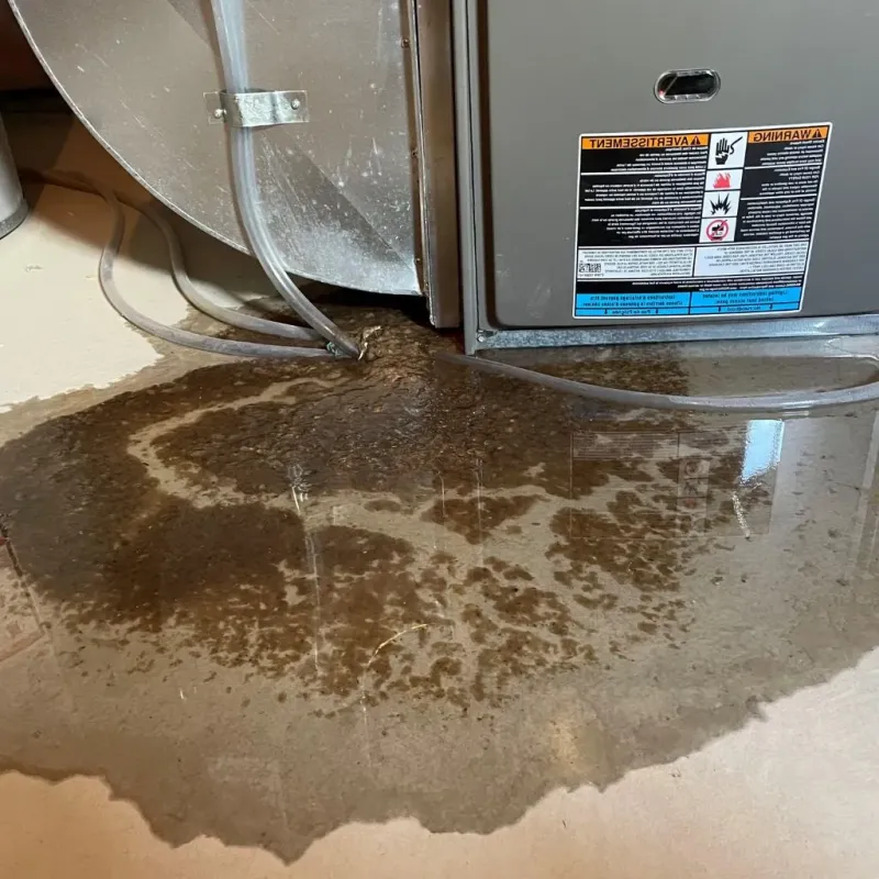 Pipe Burst and Leak Restoration in Monongalia County, WV