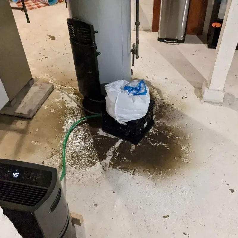 Sewage Backup Cleanup Service in Monongalia County, WV